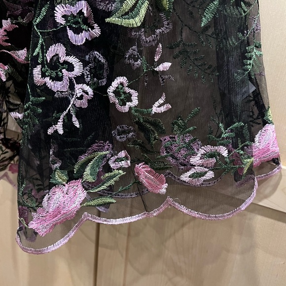 Beautiful Sheer Overlay Dress - Picture 5 of 11